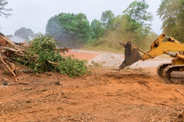 Ground Clearing in Waxhaw