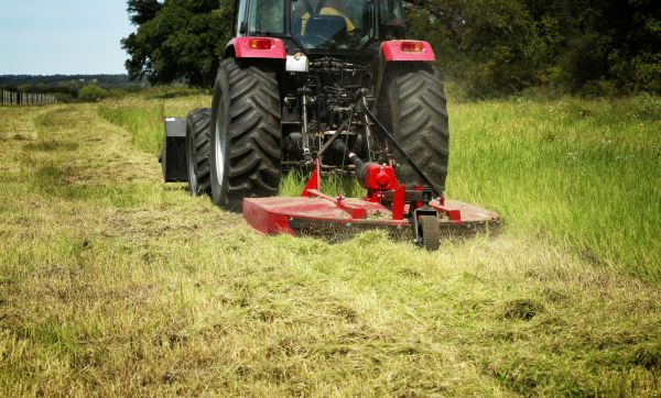 Brush Clearing Service in Waxhaw