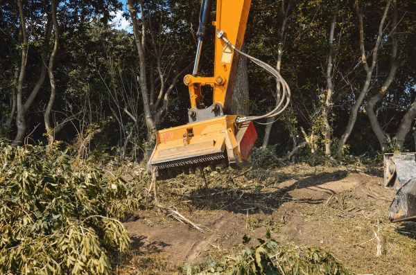 Brush Removal Service in Waxhaw