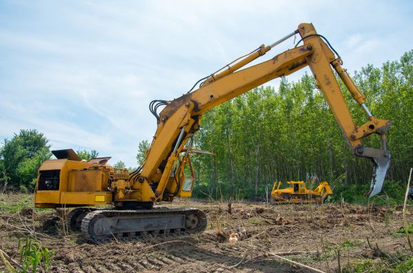 Farm Clearing in Waxhaw