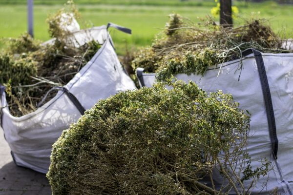 Bushes Clearing in Waxhaw
