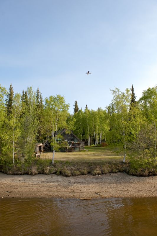 Summer Clearing Challenges